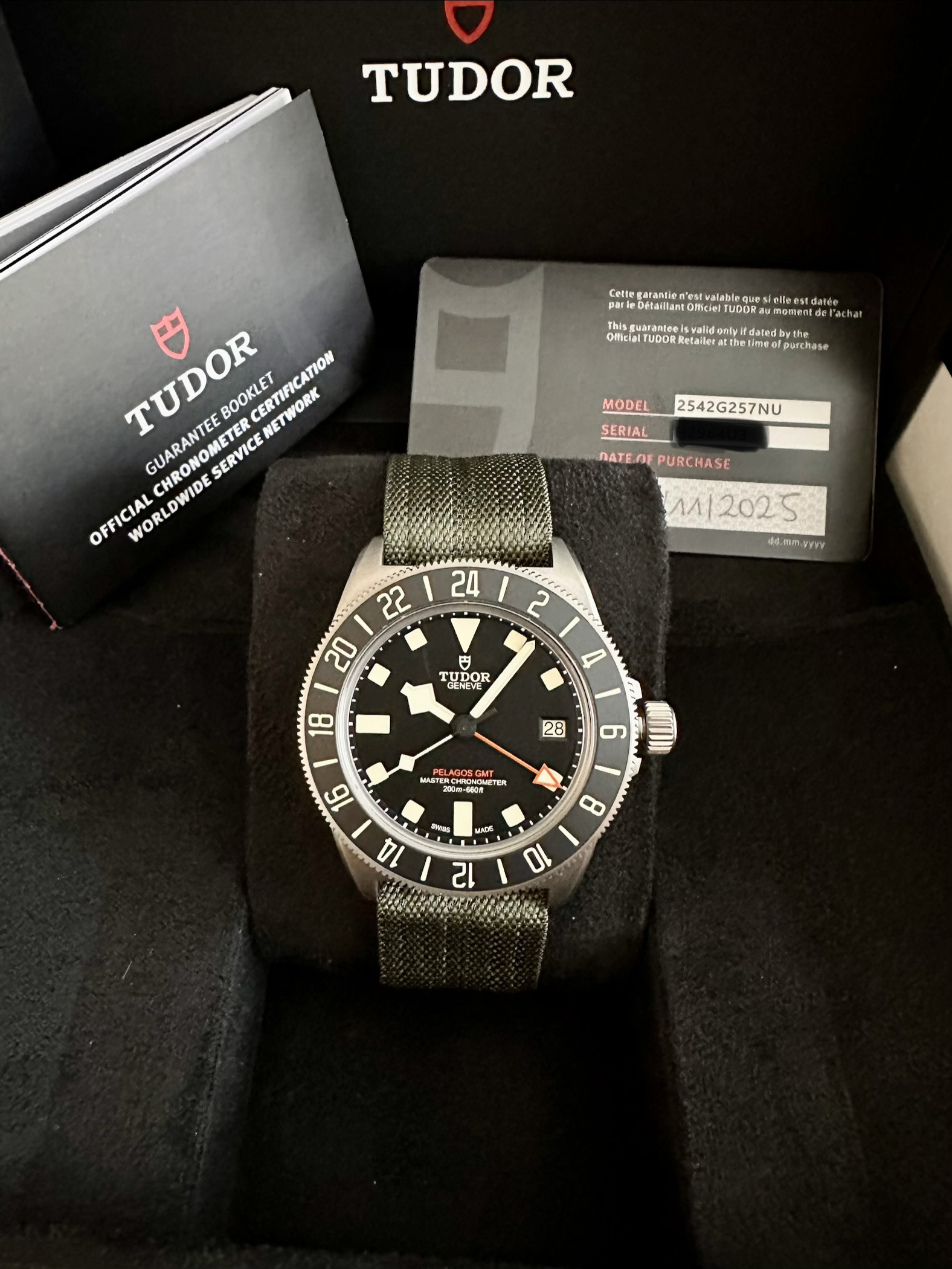 Tudor Pelagos