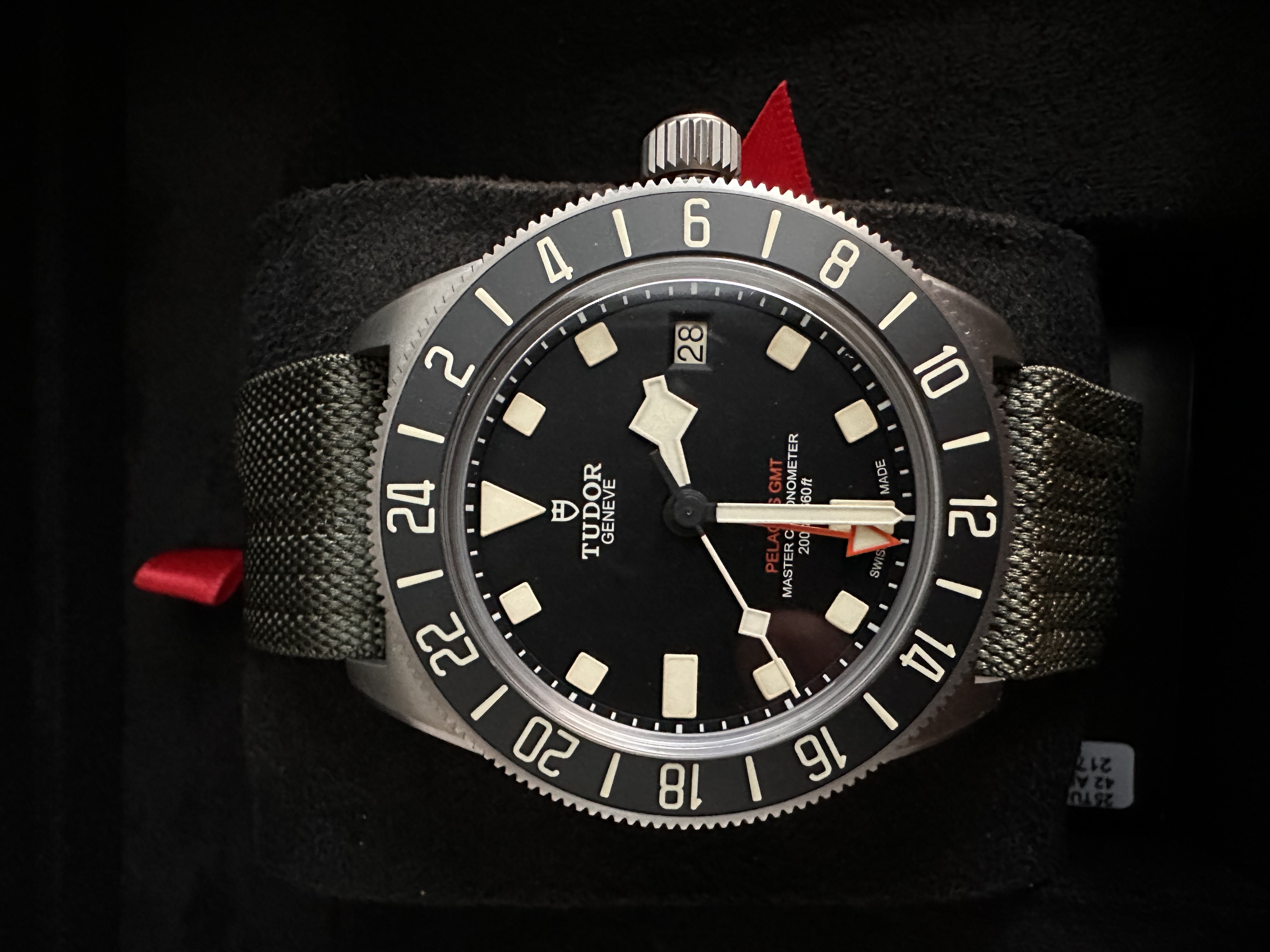 Tudor Pelagos