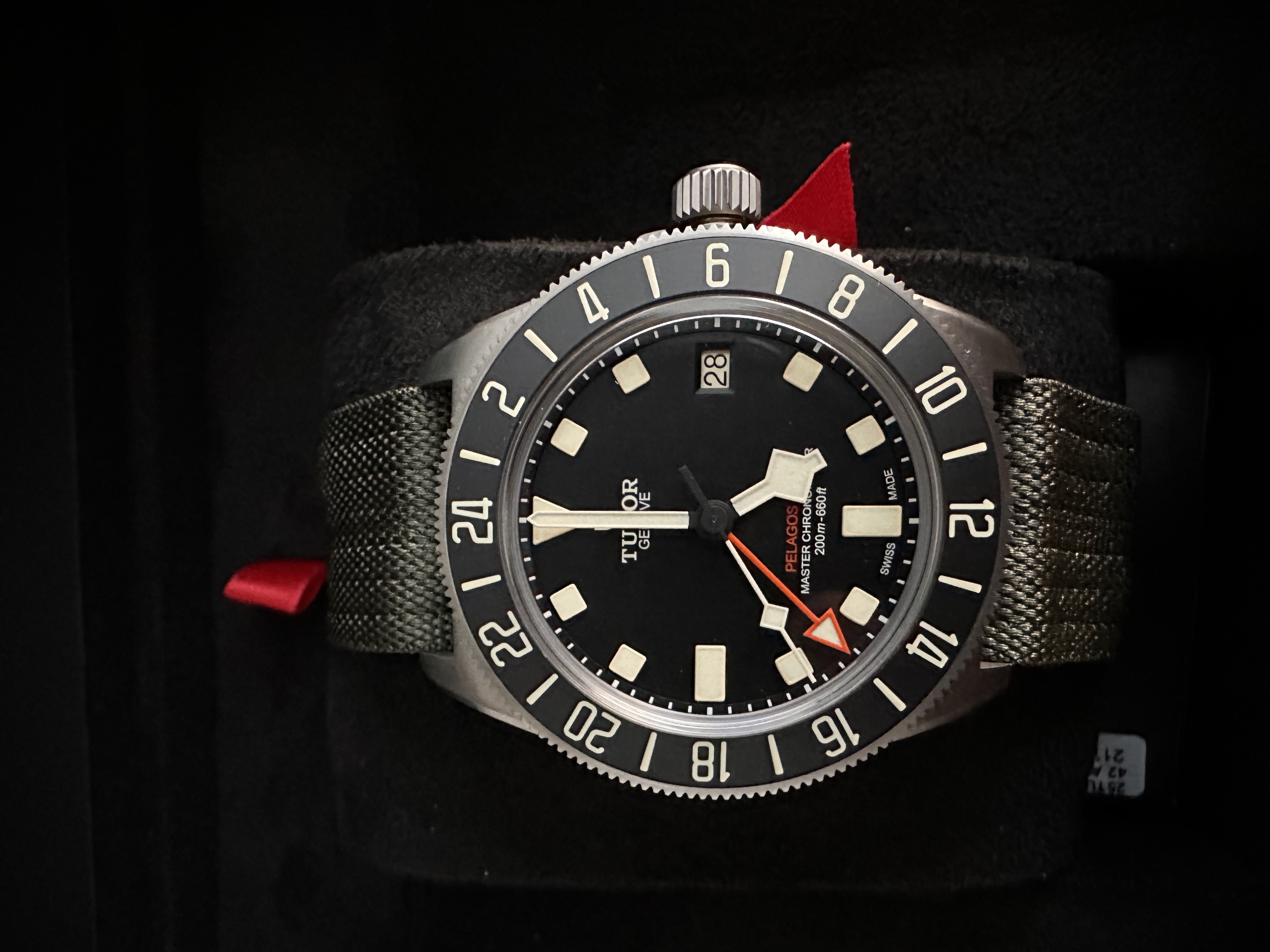 Tudor Pelagos
