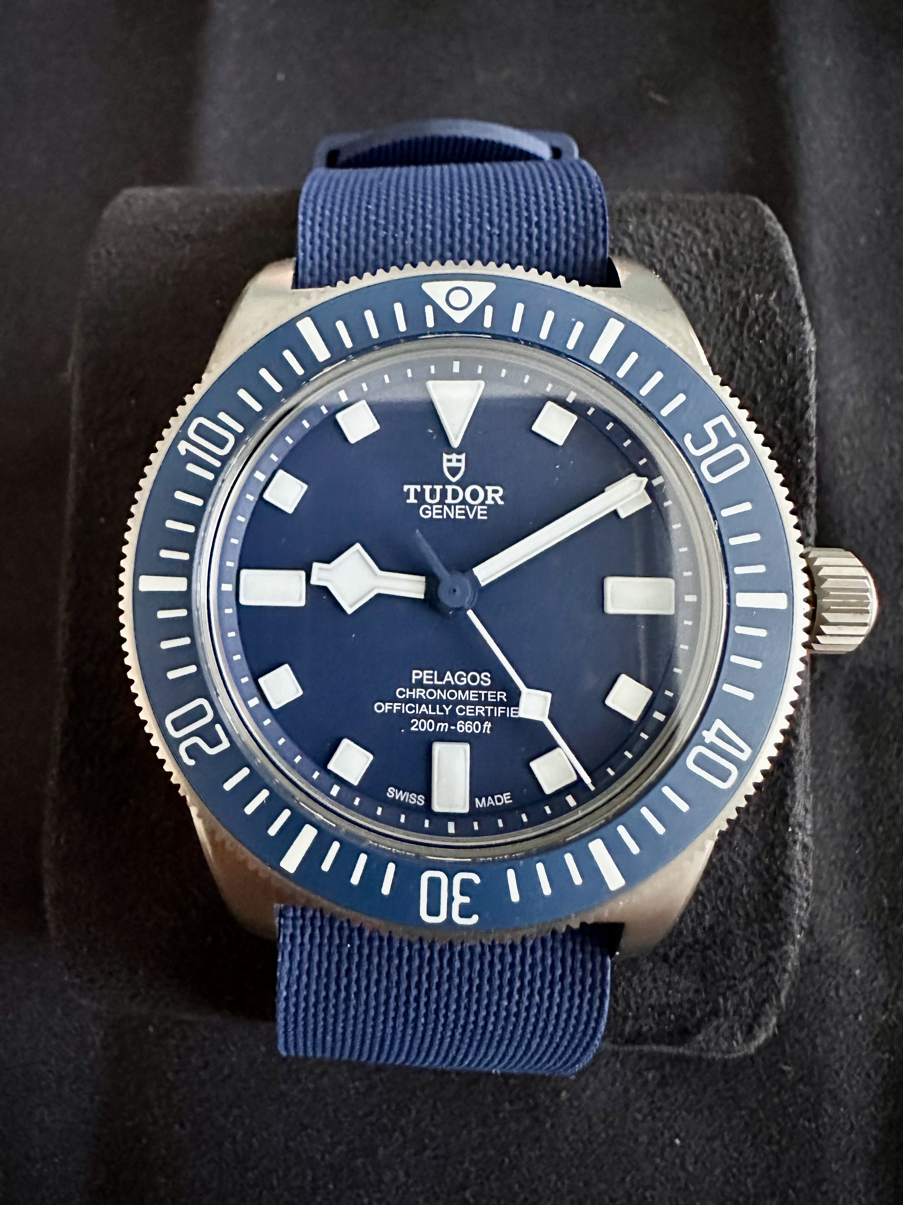 Tudor Pelagos